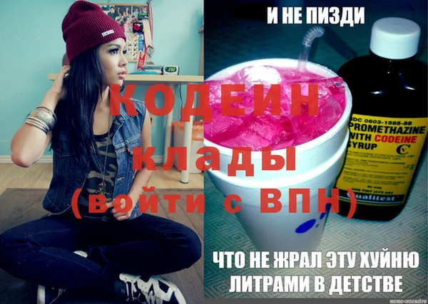 дживик Инта