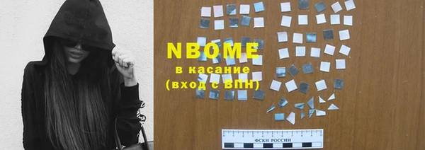 дживик Инта