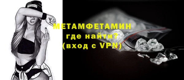 дживик Инта