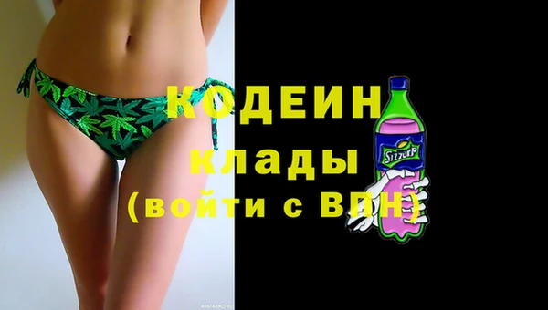 дживик Инта