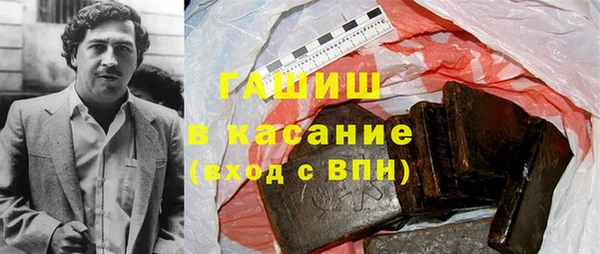 дживик Инта