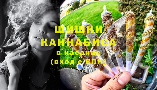 дживик Инта