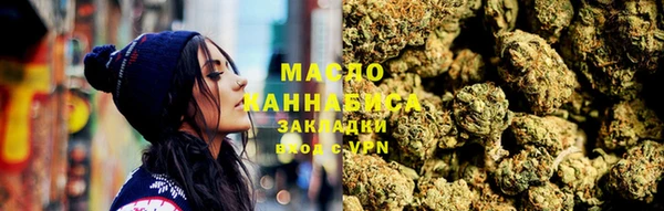 дживик Инта