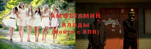 дживик Инта