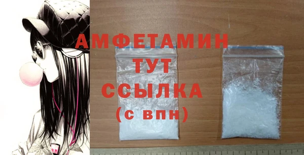 дживик Инта