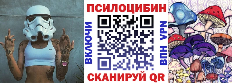 Купить закладки  Закаменск  Псилоцибиновые грибы мухоморы 